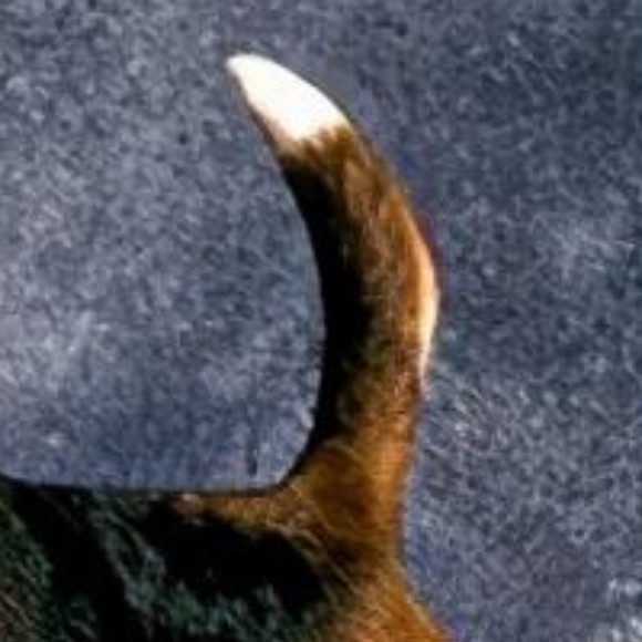 Meet your Posher, Green - Picture 1 of 1